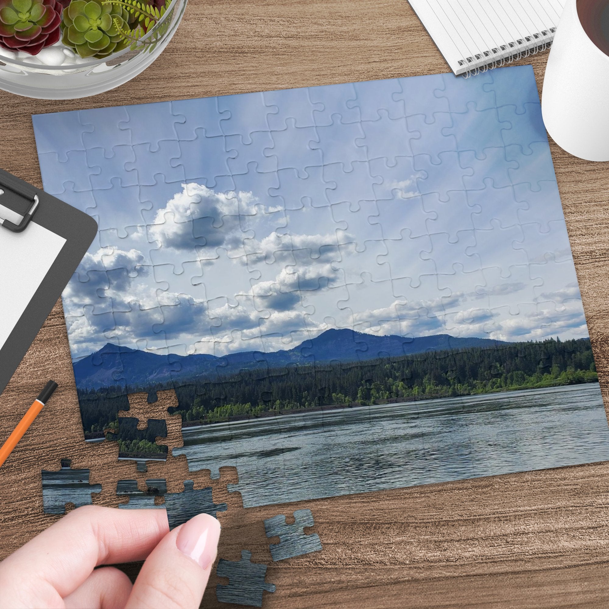 91969ca5-214d-424c-995a-5fbdcf840398