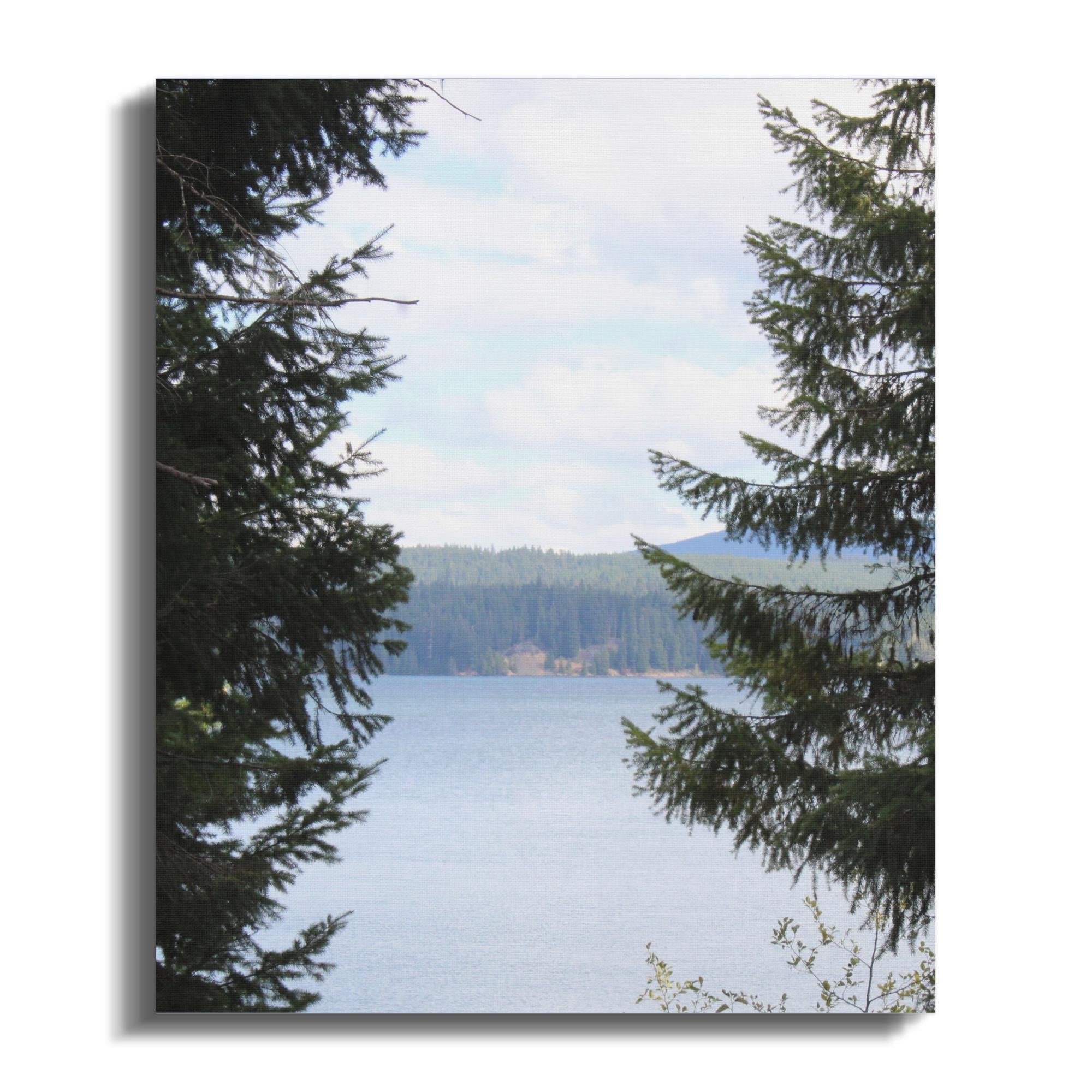 91c0cfa1-679c-4022-9078-758a028095a7