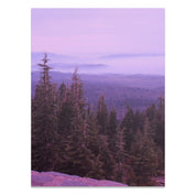 920ae2a8-d794-413d-b981-c1426d8e944c