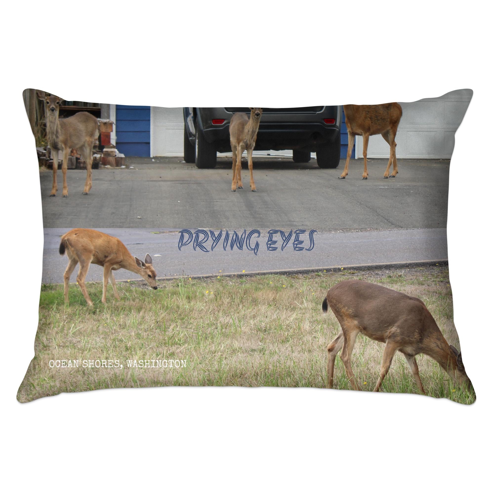 92175f4c-a578-4a53-999e-185f38849473