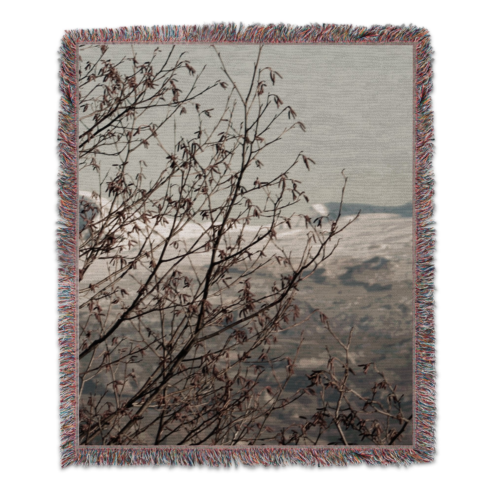 9310923b-d41d-4e24-ac2a-e6cac57237ab