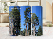 9323fb9e-920c-49fb-b1ac-3af7ab45a9c6