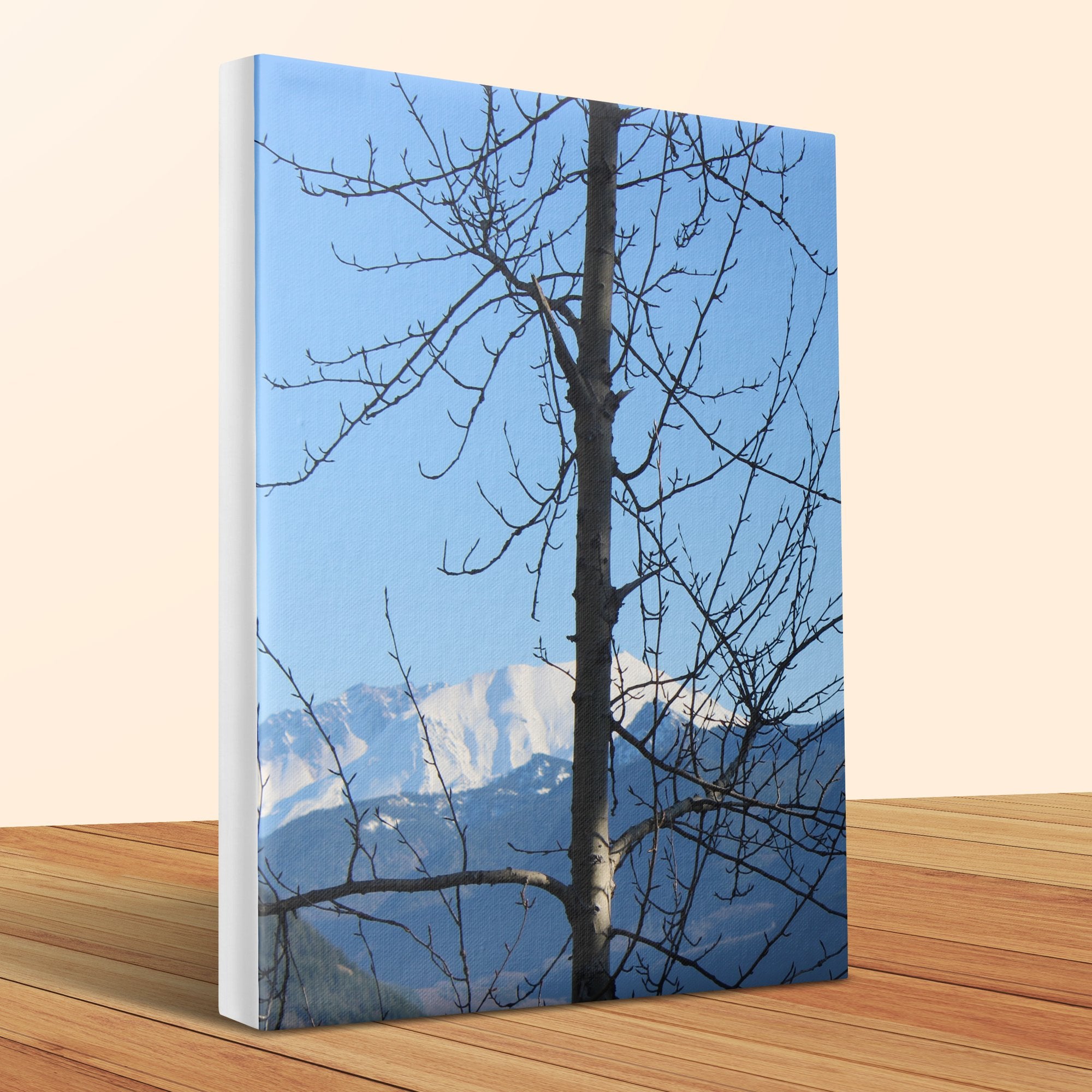 933429a4-43e7-4f92-90ba-e0e688b9a32b