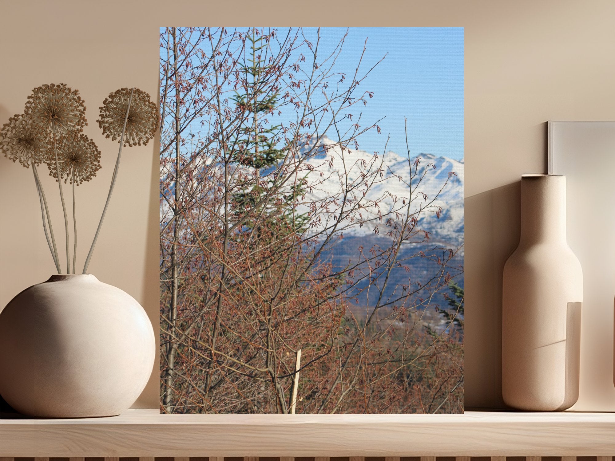 933dc897-f650-4974-ba4e-e0a40e6a97ba