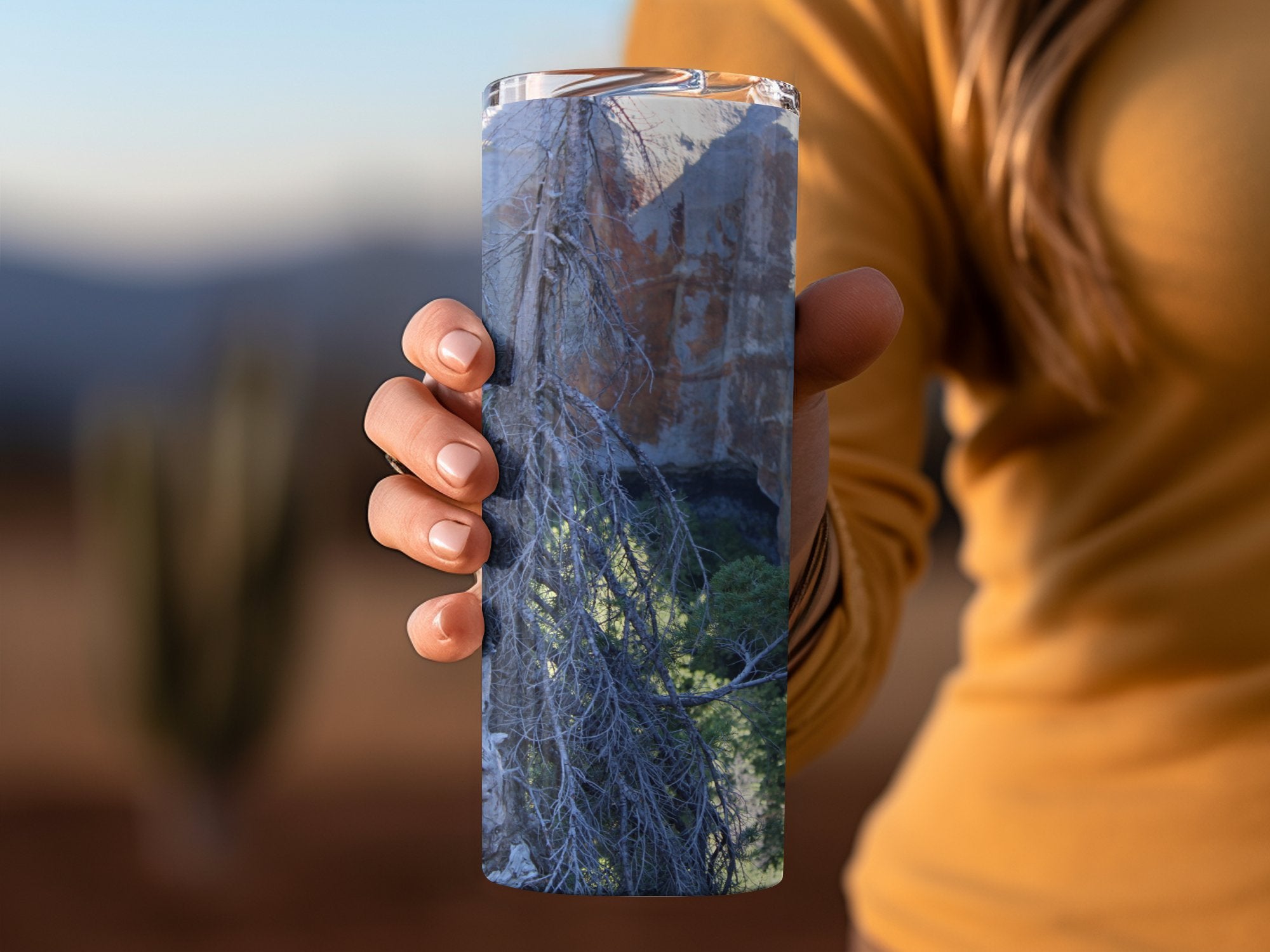 9388346b-e910-4573-88f7-05f9ca8b93ee