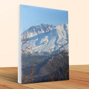 93b82535-f24c-45f3-8b0f-cd61d9fdcdfa