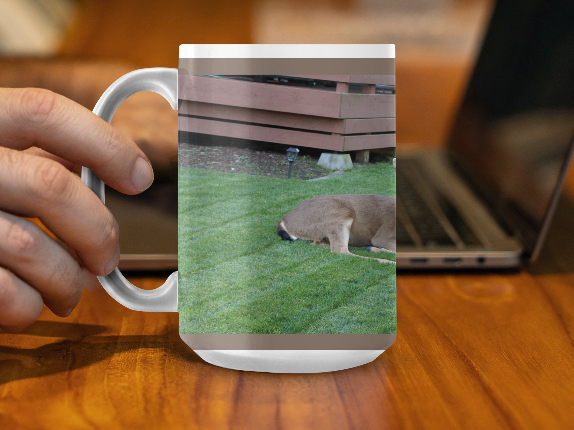 94a1af7b-182e-4f3b-a1e7-df074250bbb5