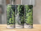 981bc7b6-20db-446a-be10-ef087218a684