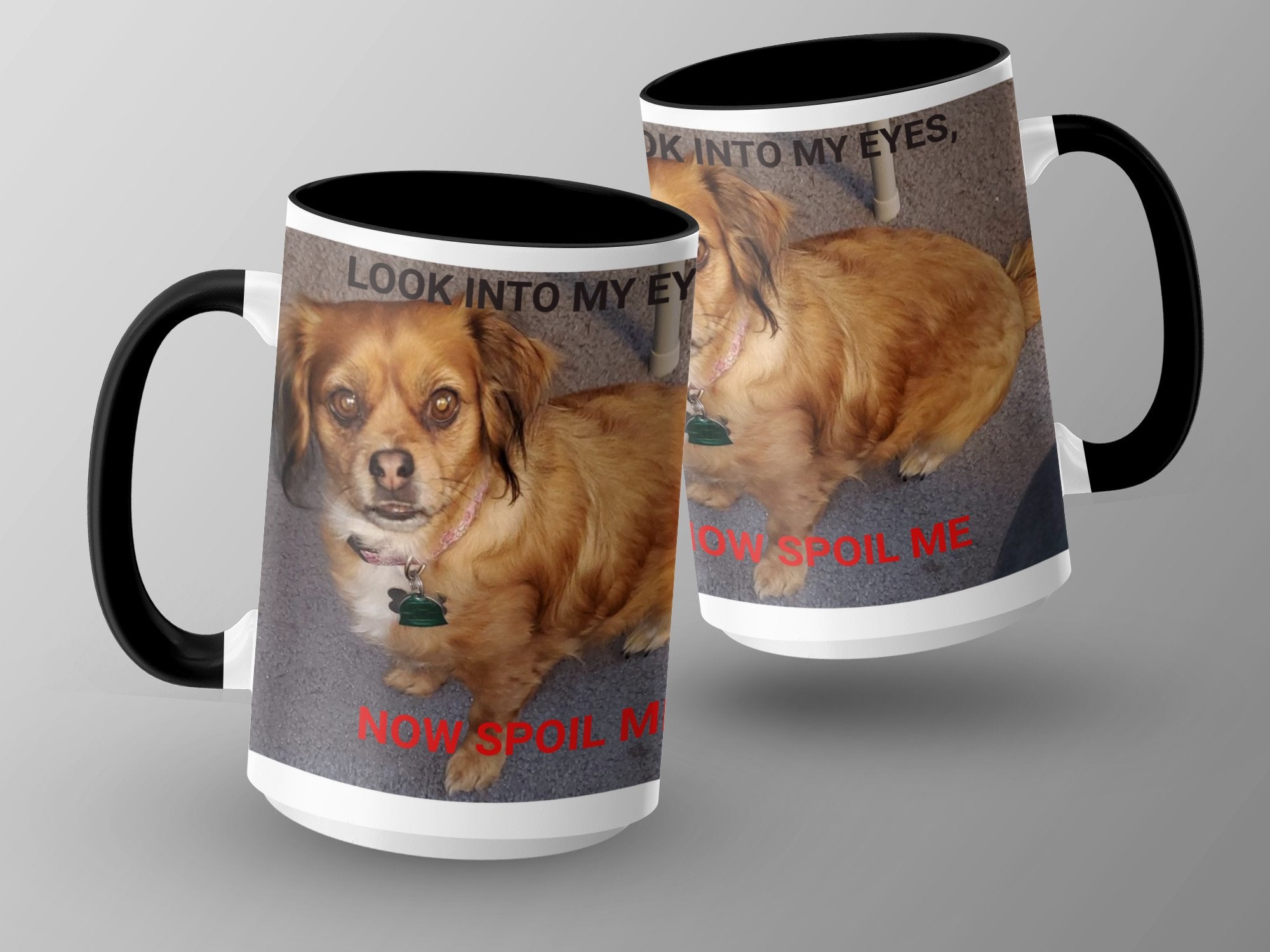 985069d6-a9db-441f-b02e-458ee264bb15