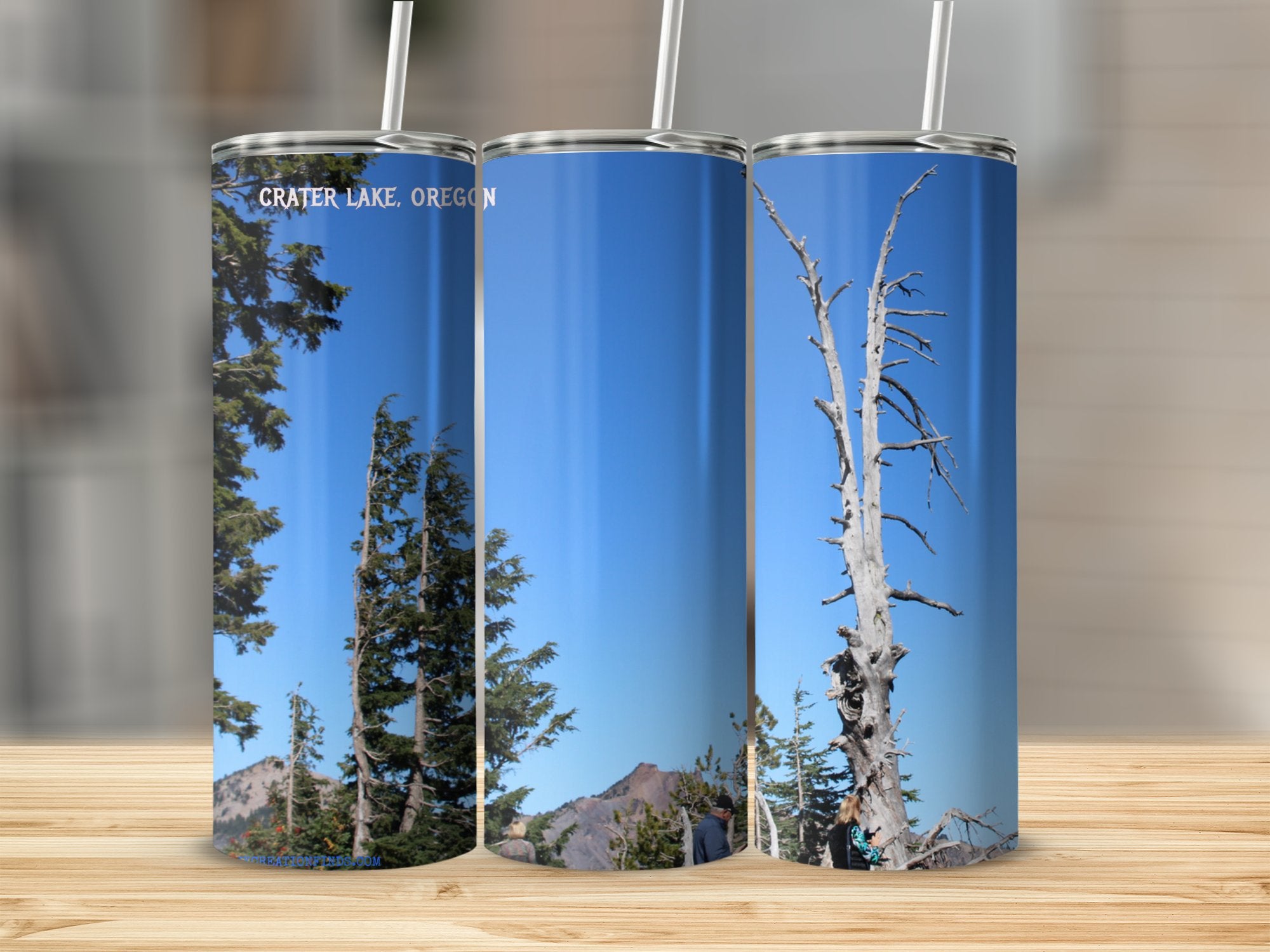 9874ea49-62cf-4142-bcda-1c77117d2050