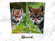 992e76c8-6bd6-4208-a8c9-0a17104f217a