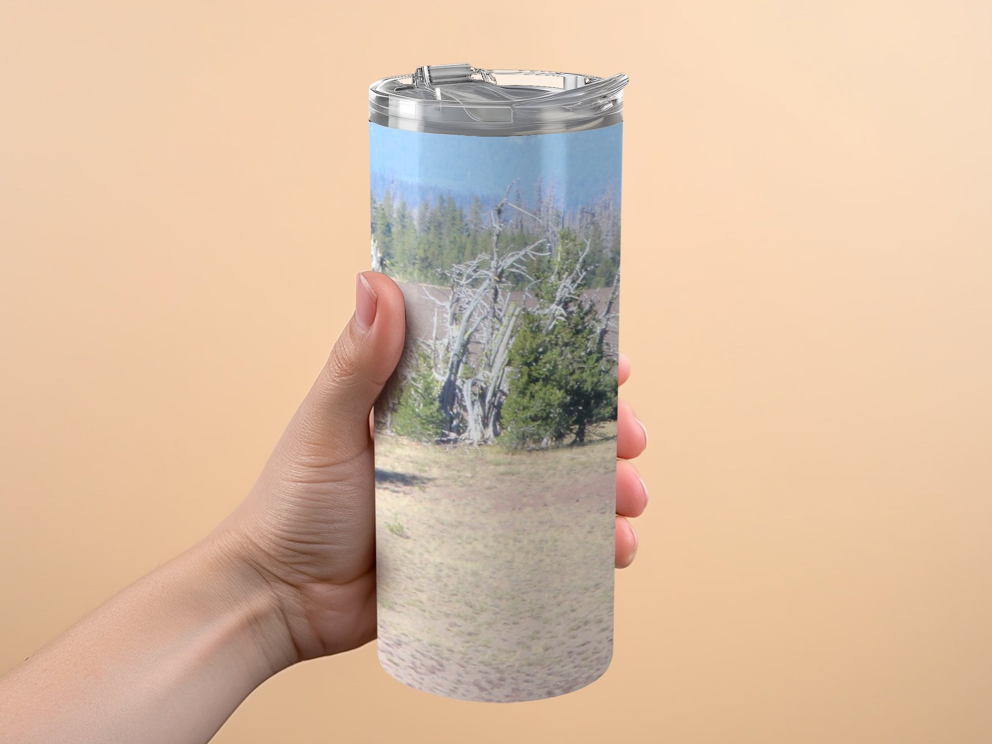 993062ae-0d03-45d8-a212-e91298eaacde