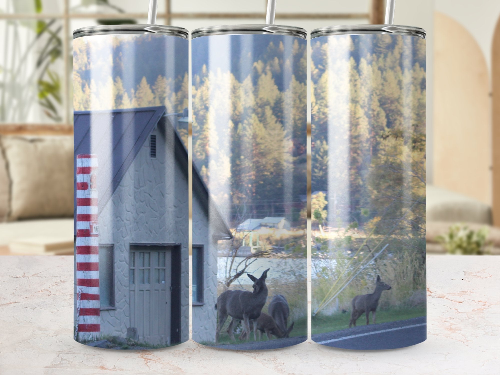 9aa3a445-5712-4f0c-8c25-ce17d4a42d47