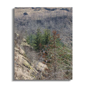 9aab1cda-4062-4082-87d7-38189dcbf2ac