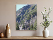 9b17eb1d-ddce-4987-9e73-ea6ccdcbfd69