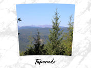 9b36030e-8637-4299-8e77-8049e8ca02b0