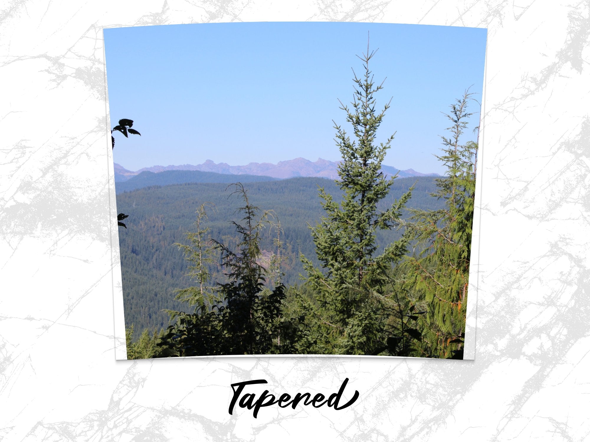 9b36030e-8637-4299-8e77-8049e8ca02b0