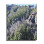 9b55d1d6-2170-4839-a9a2-32fac9e07f2e