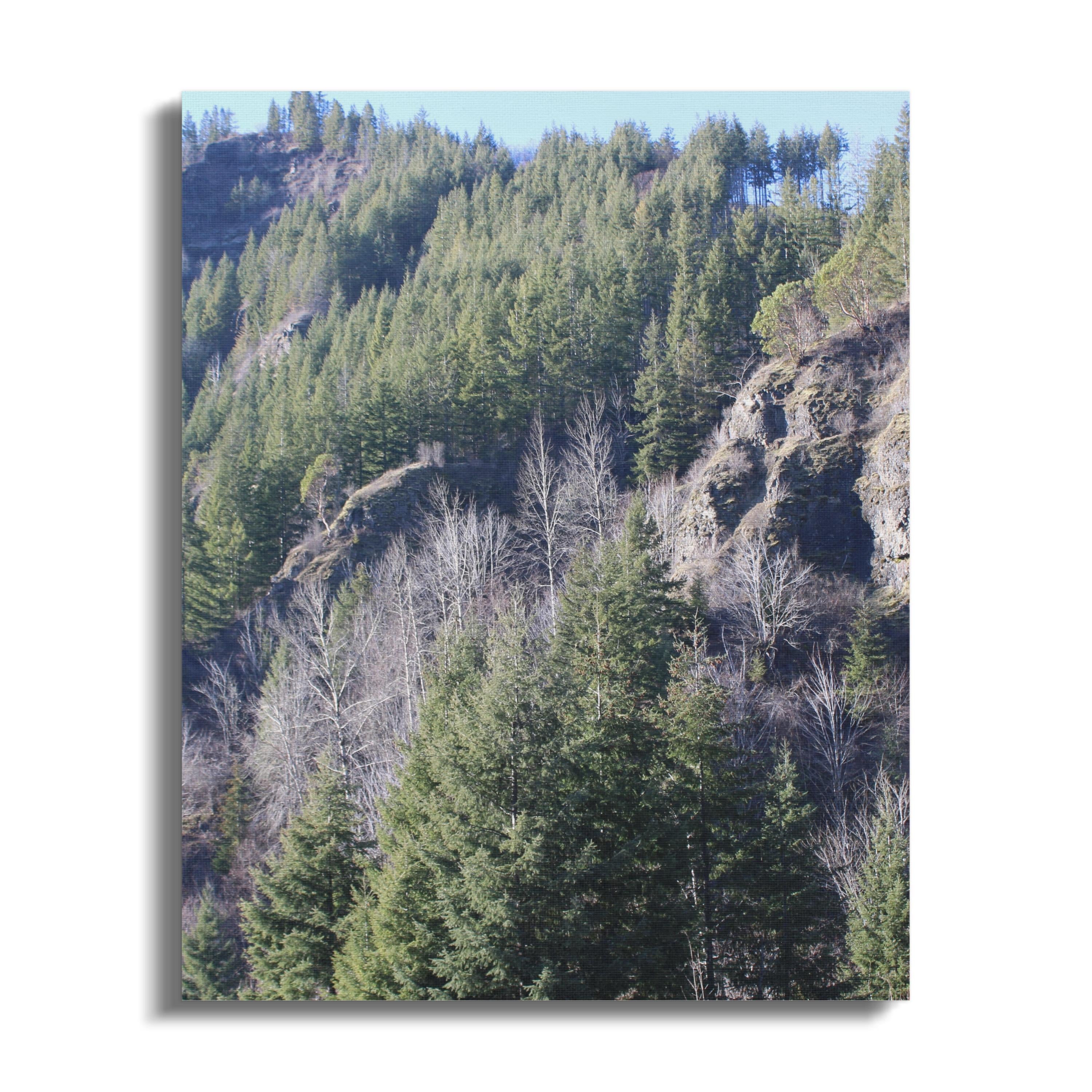 9b55d1d6-2170-4839-a9a2-32fac9e07f2e