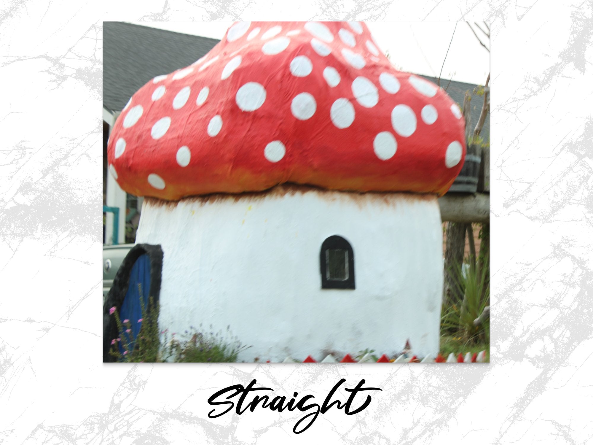 9bde8fc9-97ac-4379-9cc4-fcaea1f47ac0