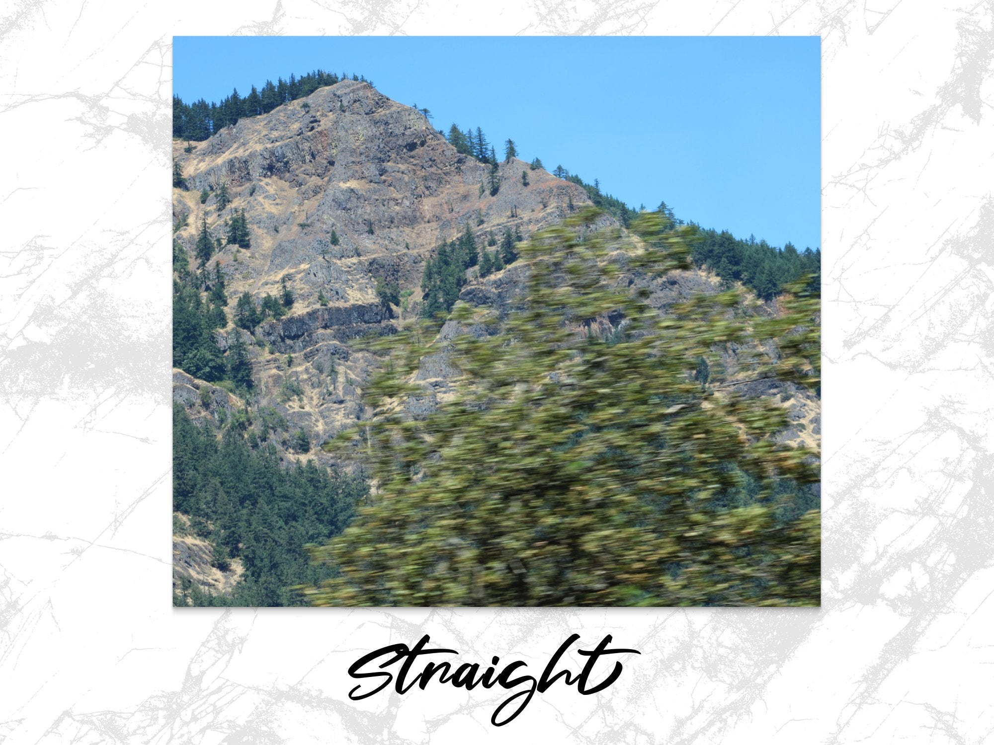 9c2930c0-bc65-412d-b3c5-220911b24209