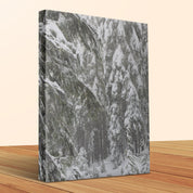 9c49be95-bf63-4dae-bfba-6838776bed57