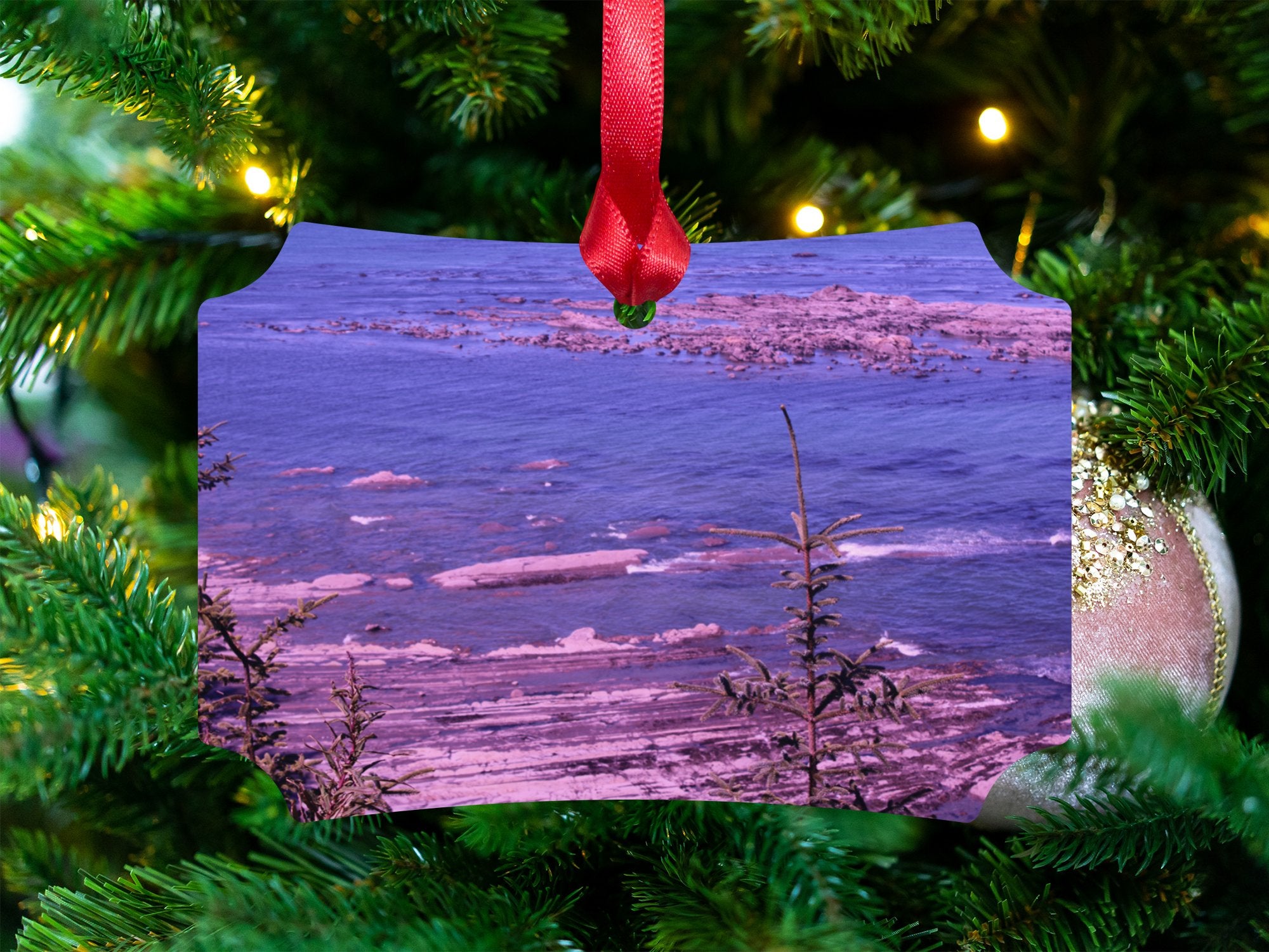 9c5dea32-3132-40fd-94ea-65a12205fd73