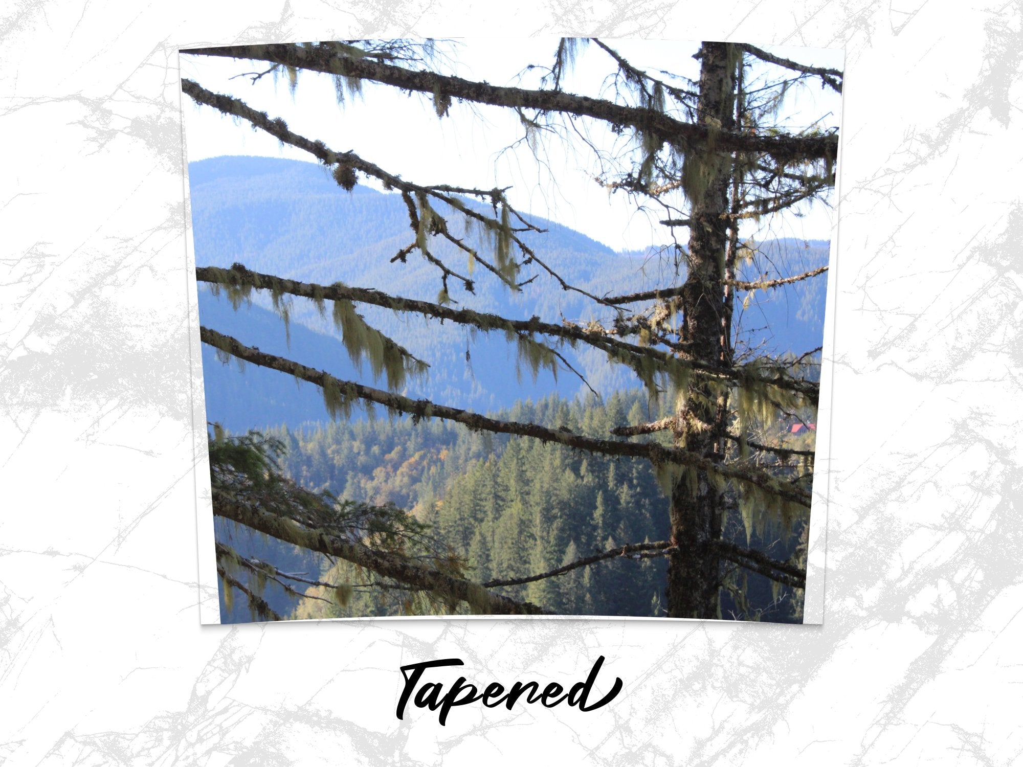 9ccc353f-22ed-4ebd-8c55-125c7350913e