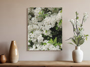 Beautiful White Flowers Canvas Wall Art product