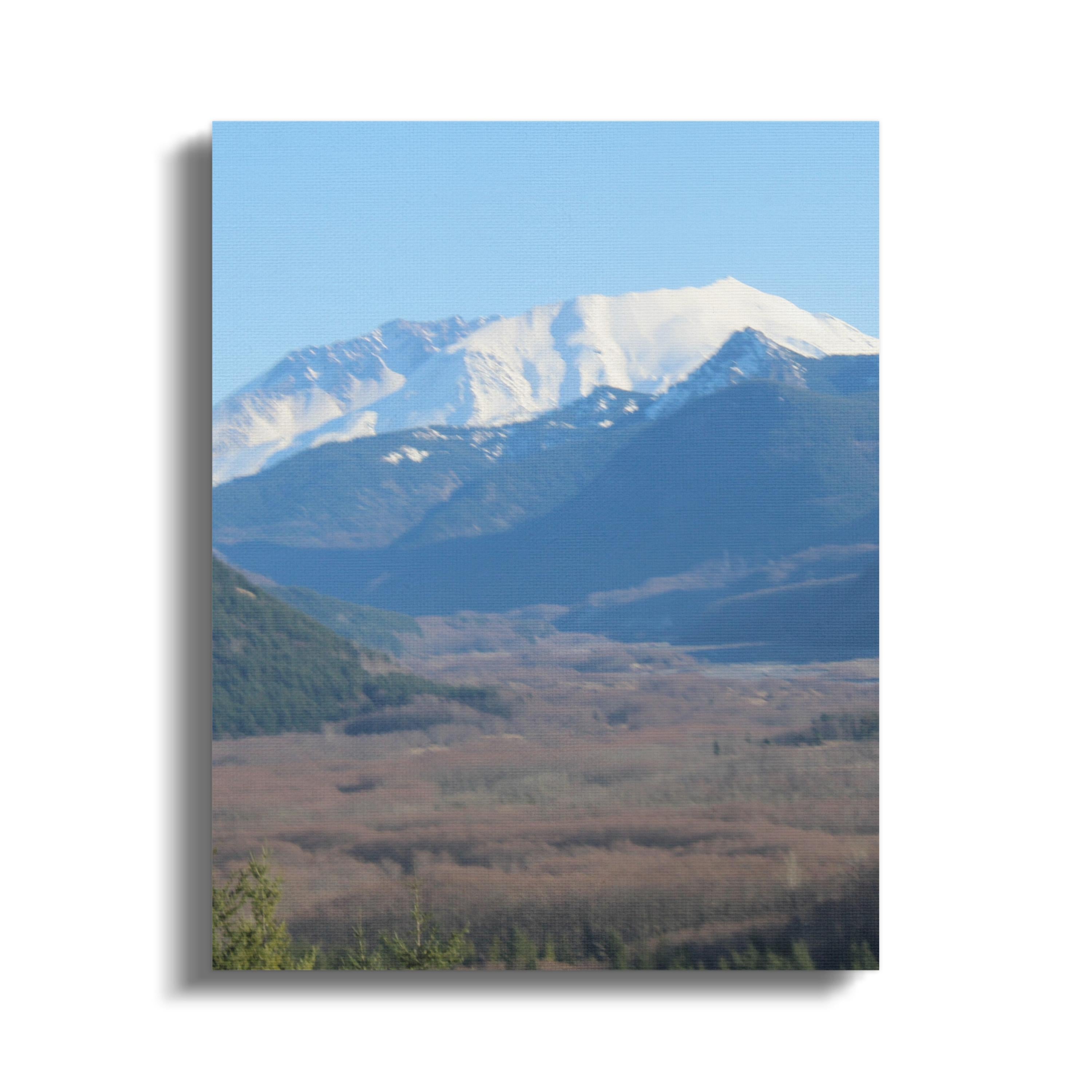 9d217cac-a872-405d-a1fd-6c9e1e530a3c