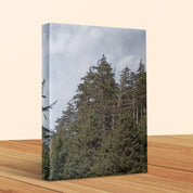 Serene Forest Landscape on Canvas Wall Art product type