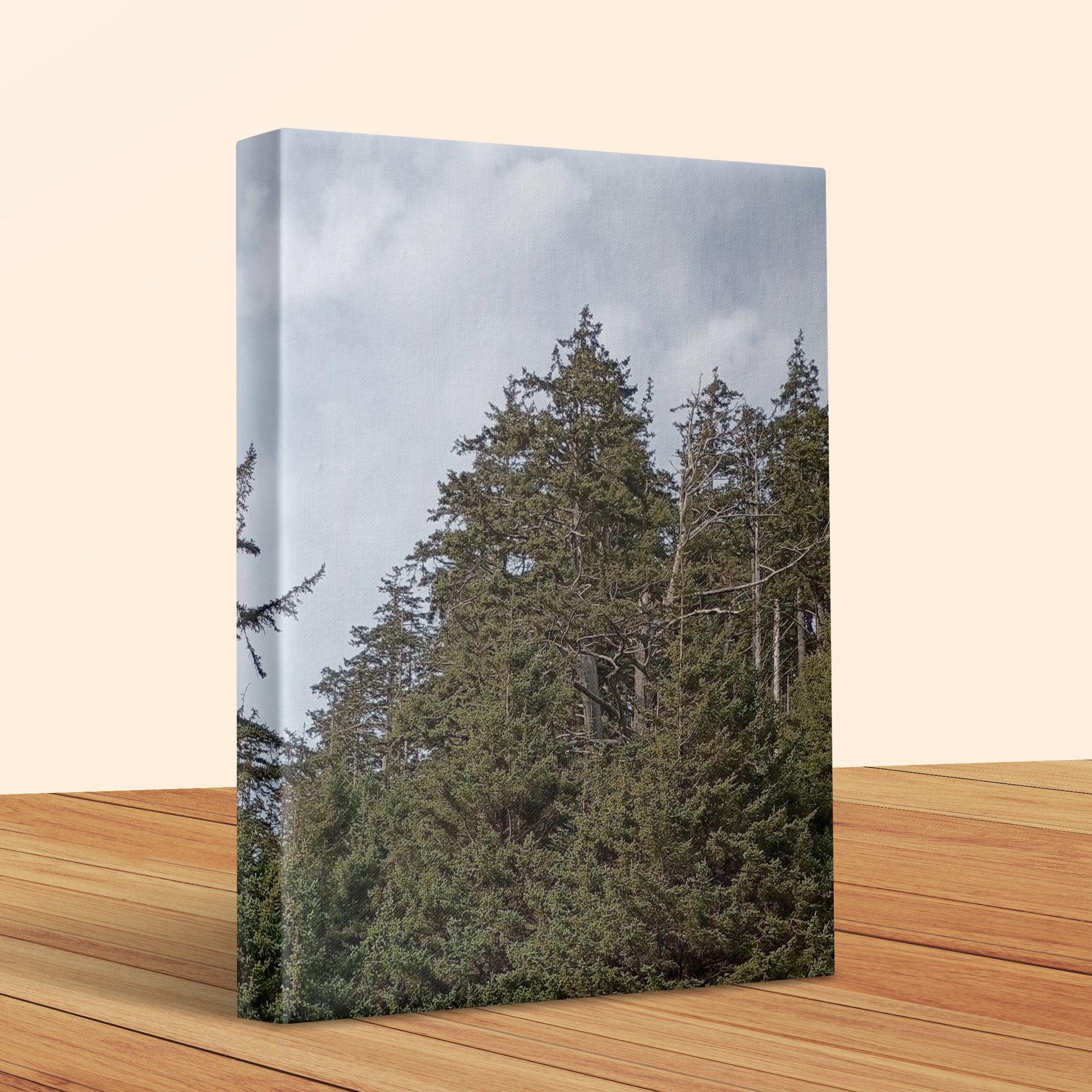 Serene Forest Landscape on Canvas Wall Art product type