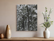 9d5eb64c-f826-4e56-ba86-2a88e6799d19