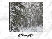 9deaade8-ebdd-42e0-abc7-48be6bf53dd8