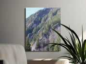 9e024903-a0ed-420a-a16b-b12b1d169bf6