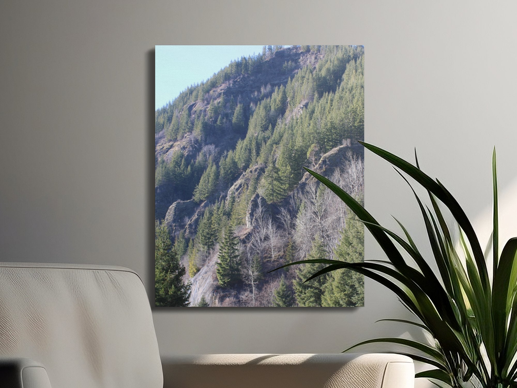 9e024903-a0ed-420a-a16b-b12b1d169bf6