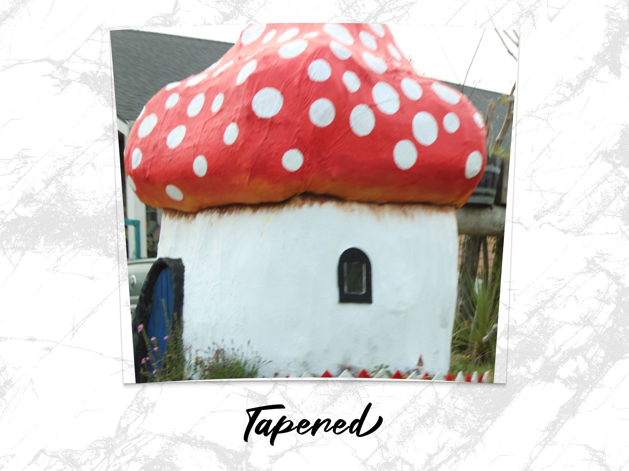 9ecce98f-0054-48fc-8e13-b03f0e8dca84