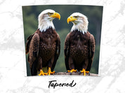 9f87543e-3068-4317-b7b0-14fc7a4f44b4