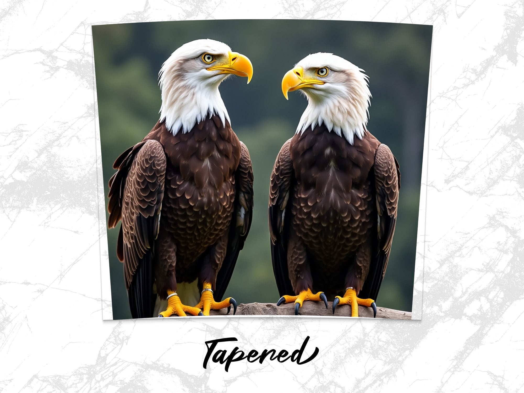 9f87543e-3068-4317-b7b0-14fc7a4f44b4