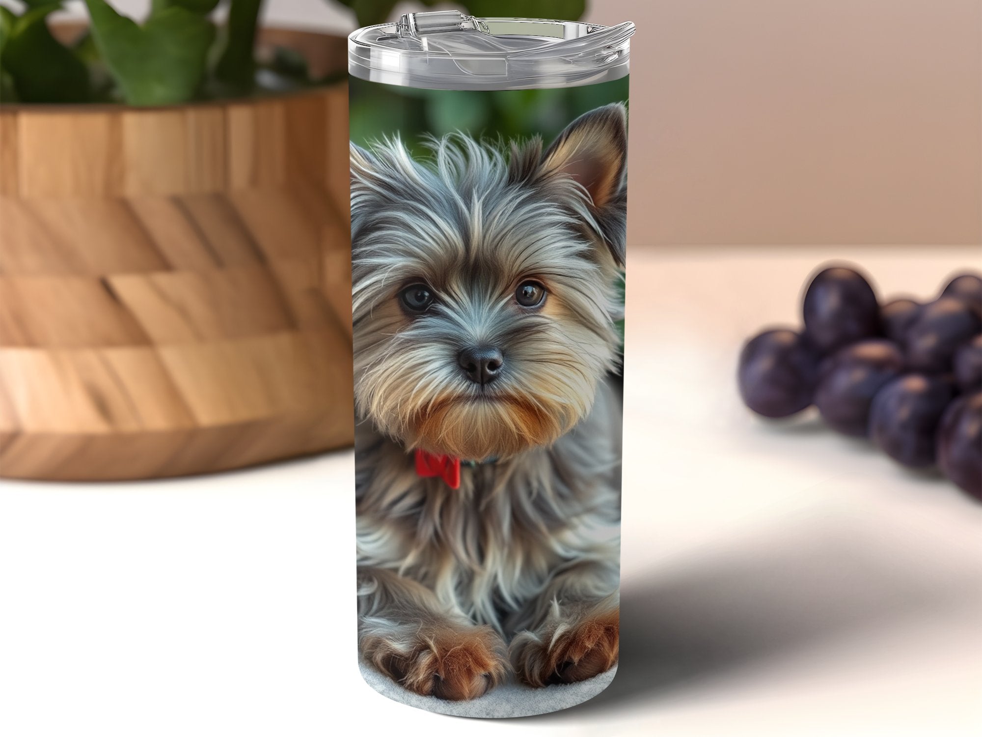 9fa11533-be0a-4ef3-bbdb-e230eee69b09