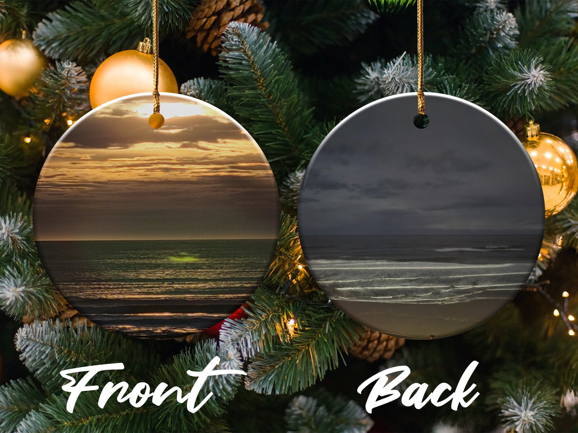 9ff79c8a-51f9-429e-9beb-82d23626b0b4