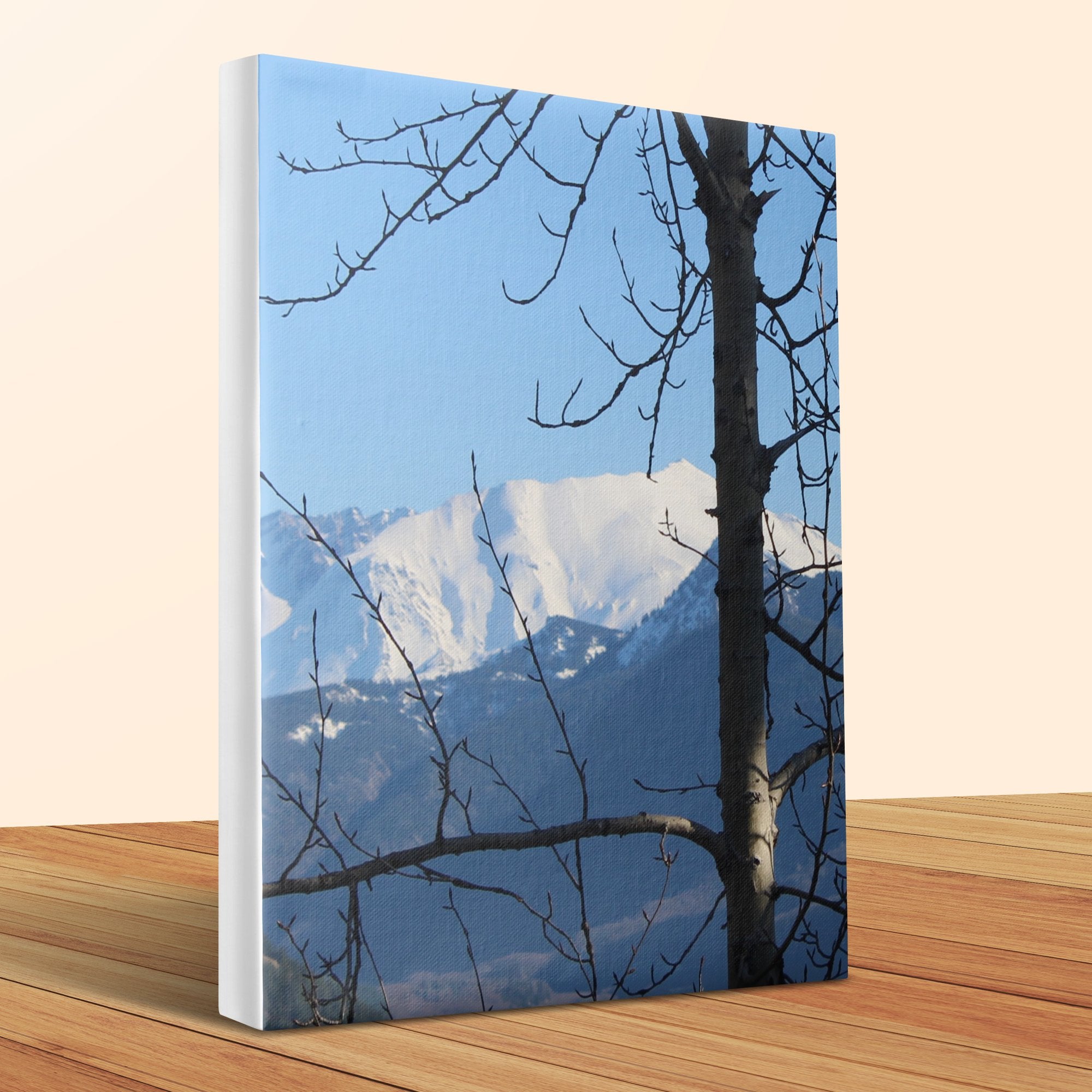 a00634da-8217-4d8b-b5fd-734a289a5d3a