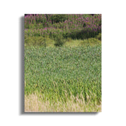 Lush Green and Purple Meadow Landscape Poster product