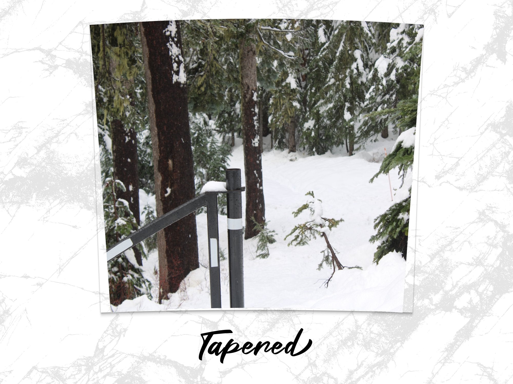 a0f33a46-4cef-443d-b9a2-5af48d4297ae