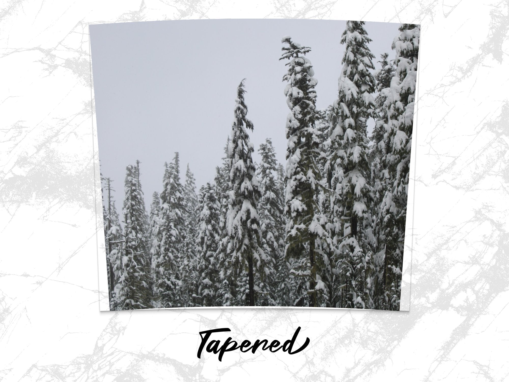 a22907a9-b05a-4f17-83df-ee3c941343af