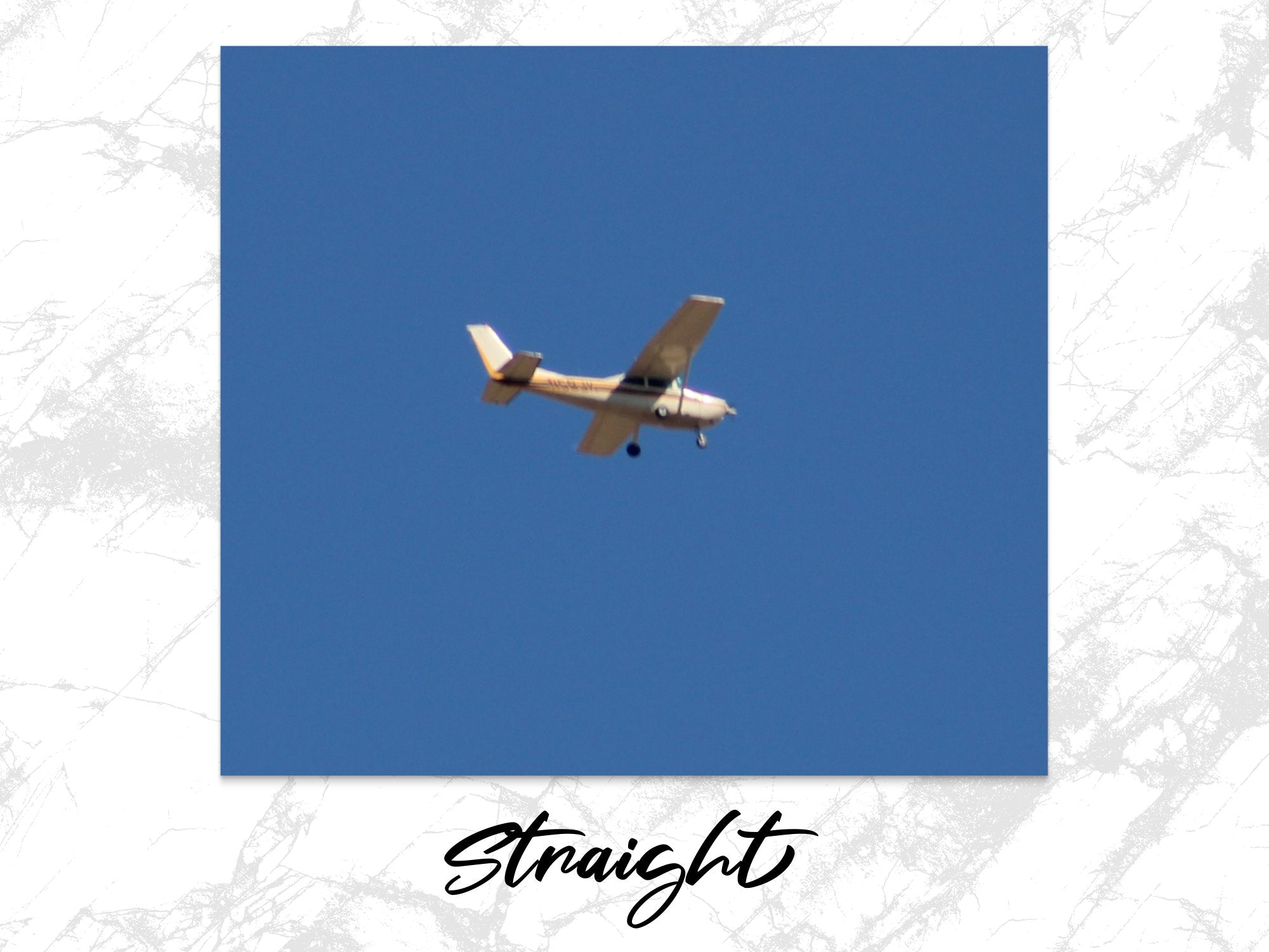 a28bba4e-293a-4a8a-8585-516193bdeb0c