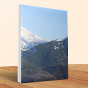 a3003f03-565c-4107-b0cb-79ce1aefd470