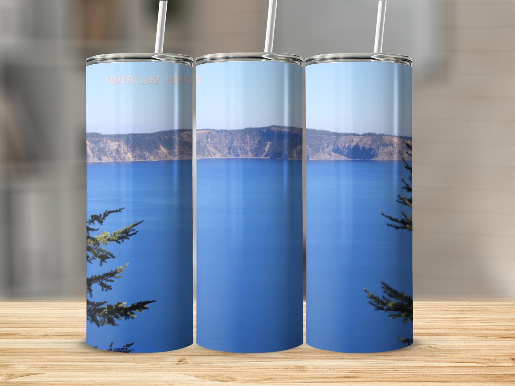 a325f4cb-dc85-41fd-909b-ab994113bddf