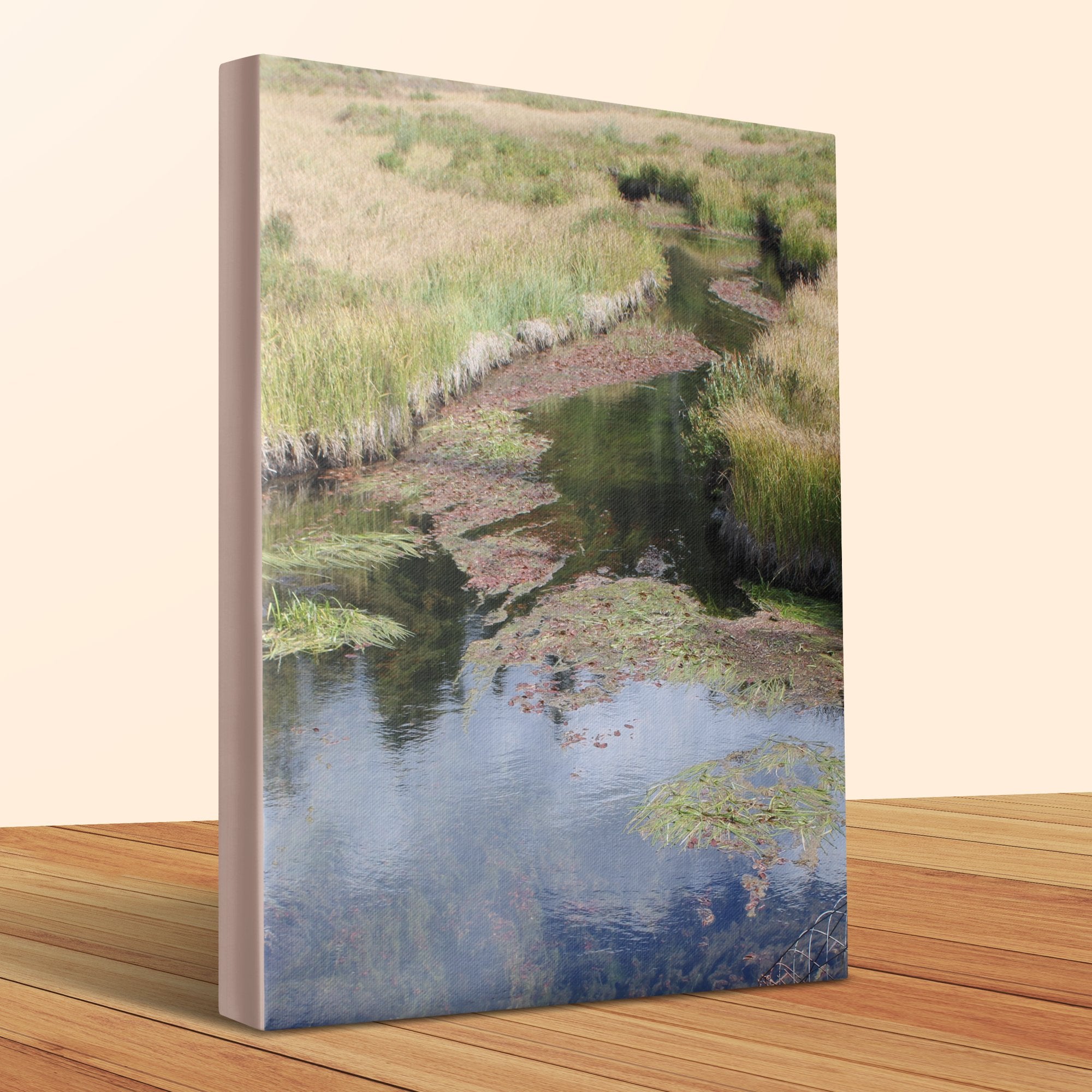 a346e4fa-ef53-4d18-9b49-a29cb02fb269