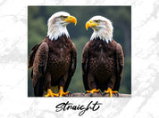 a3cffb95-34cd-422b-9922-e7e44ea35126